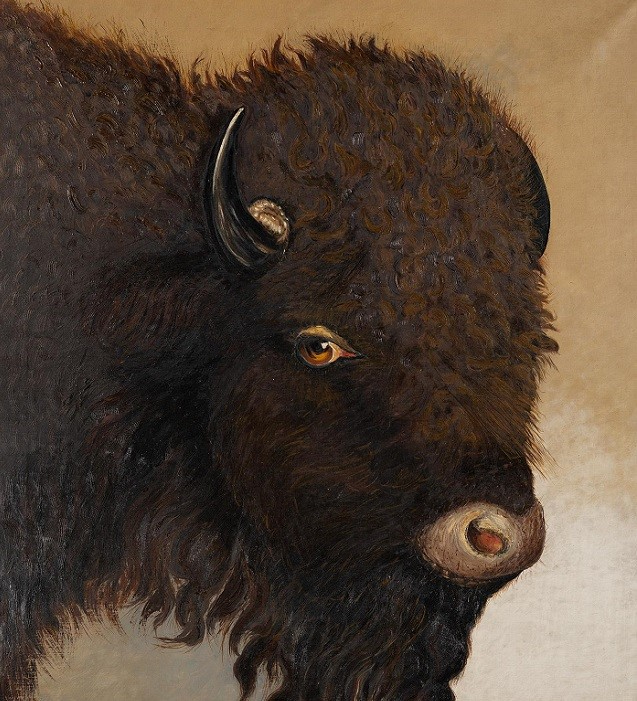 Vintage painting of buffalo head