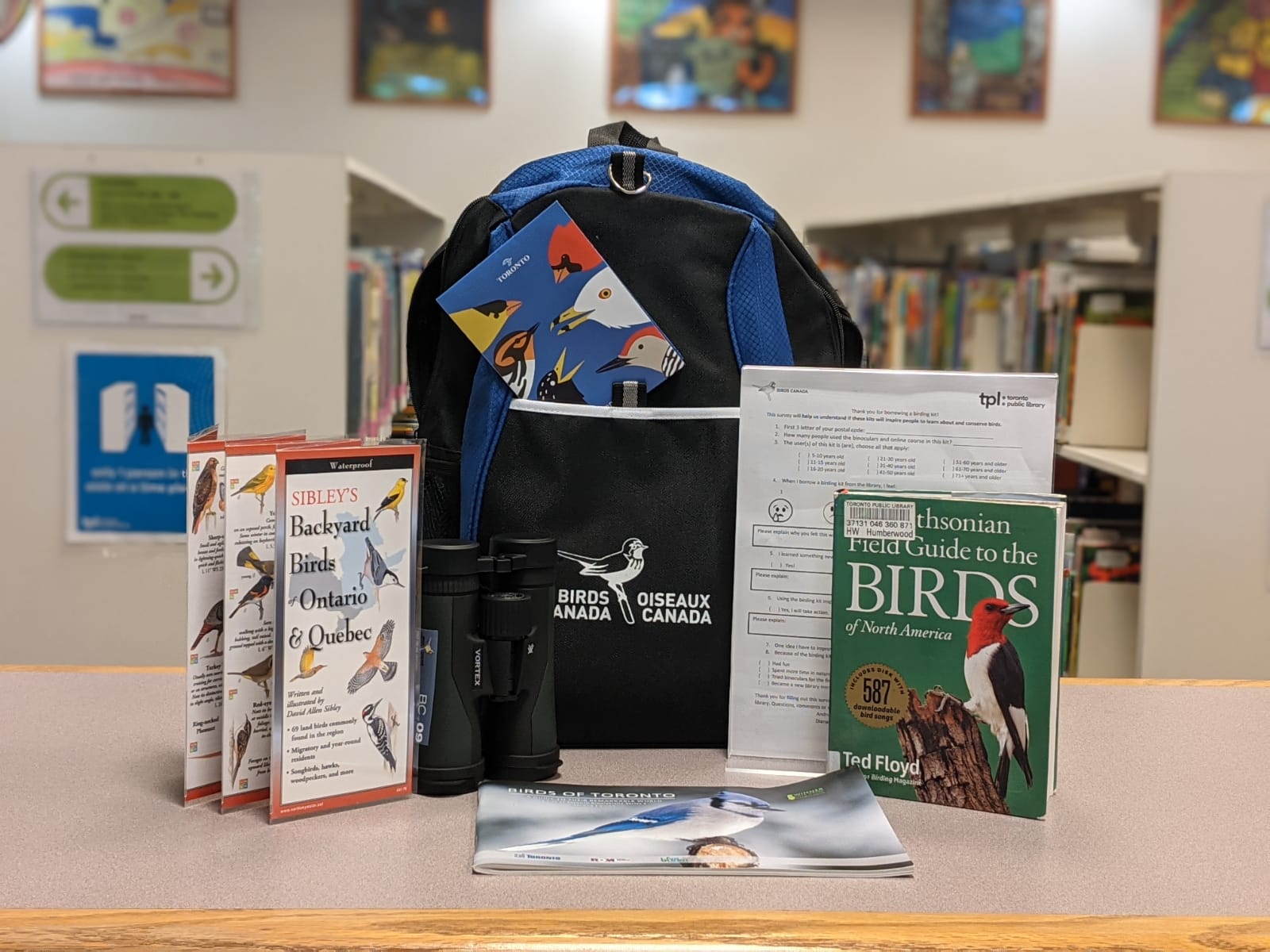 Black birding kit bag with black binoculars, two pamphlets on the sides and a guide book in front