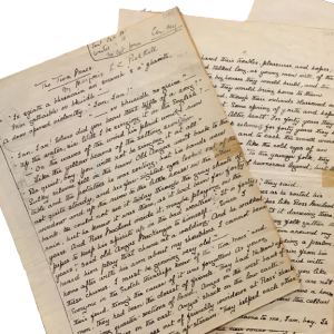 Loose leaf pages of manuscript full of handwritten text