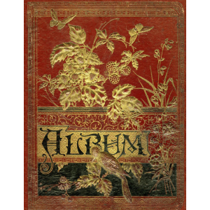 Decorative cover with the word Album